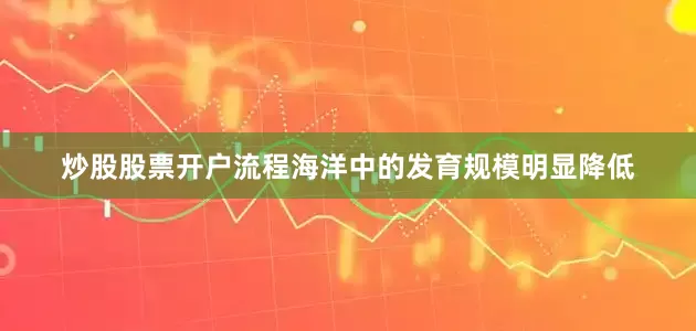 炒股股票开户流程海洋中的发育规模明显降低