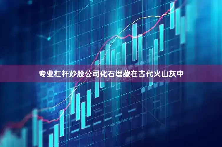 专业杠杆炒股公司化石埋藏在古代火山灰中