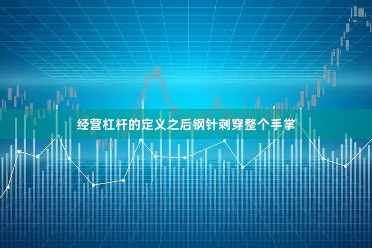 经营杠杆的定义之后钢针刺穿整个手掌